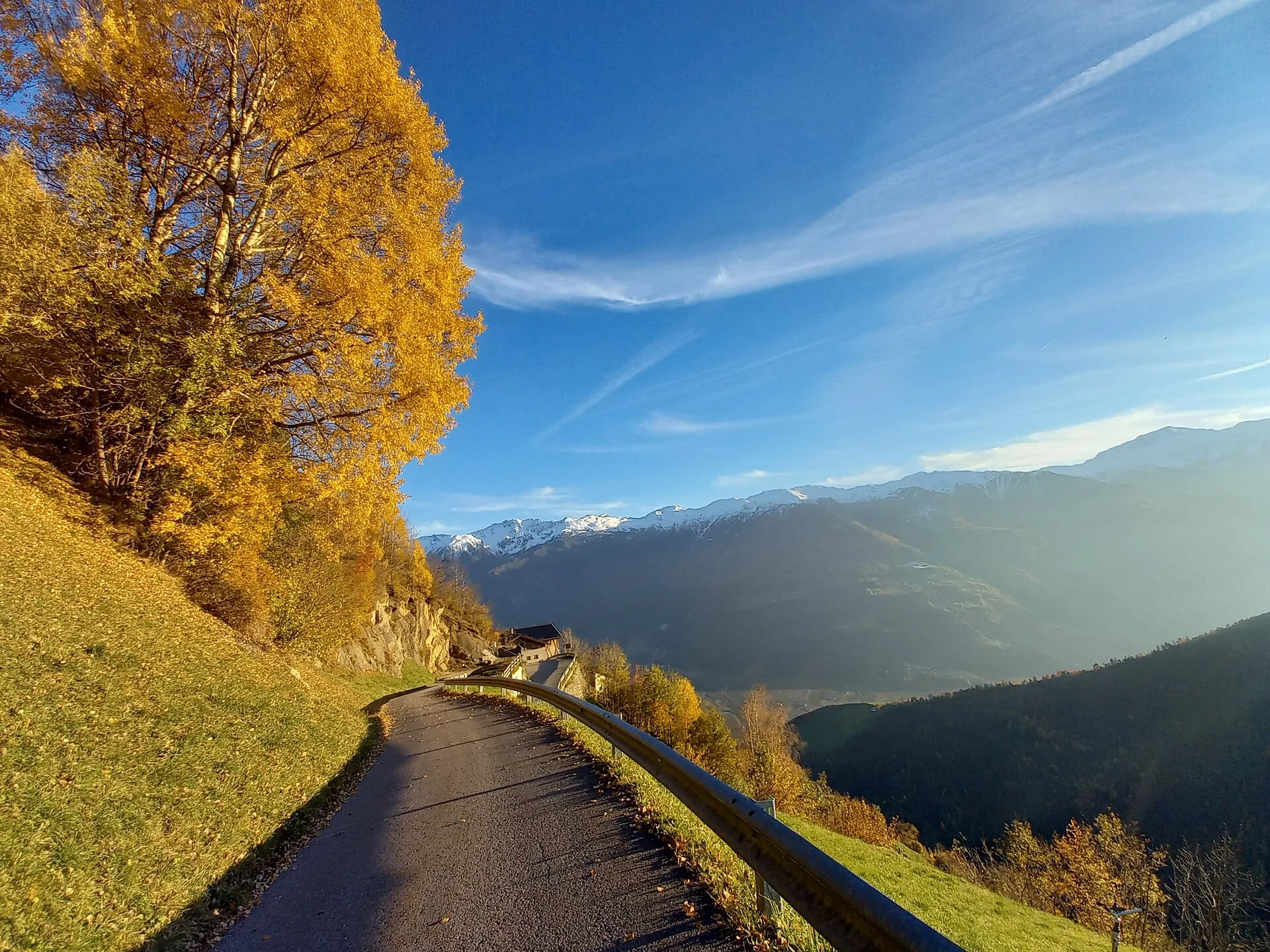 Herbstlicher Bergweg am Naturnser Sonnenberg